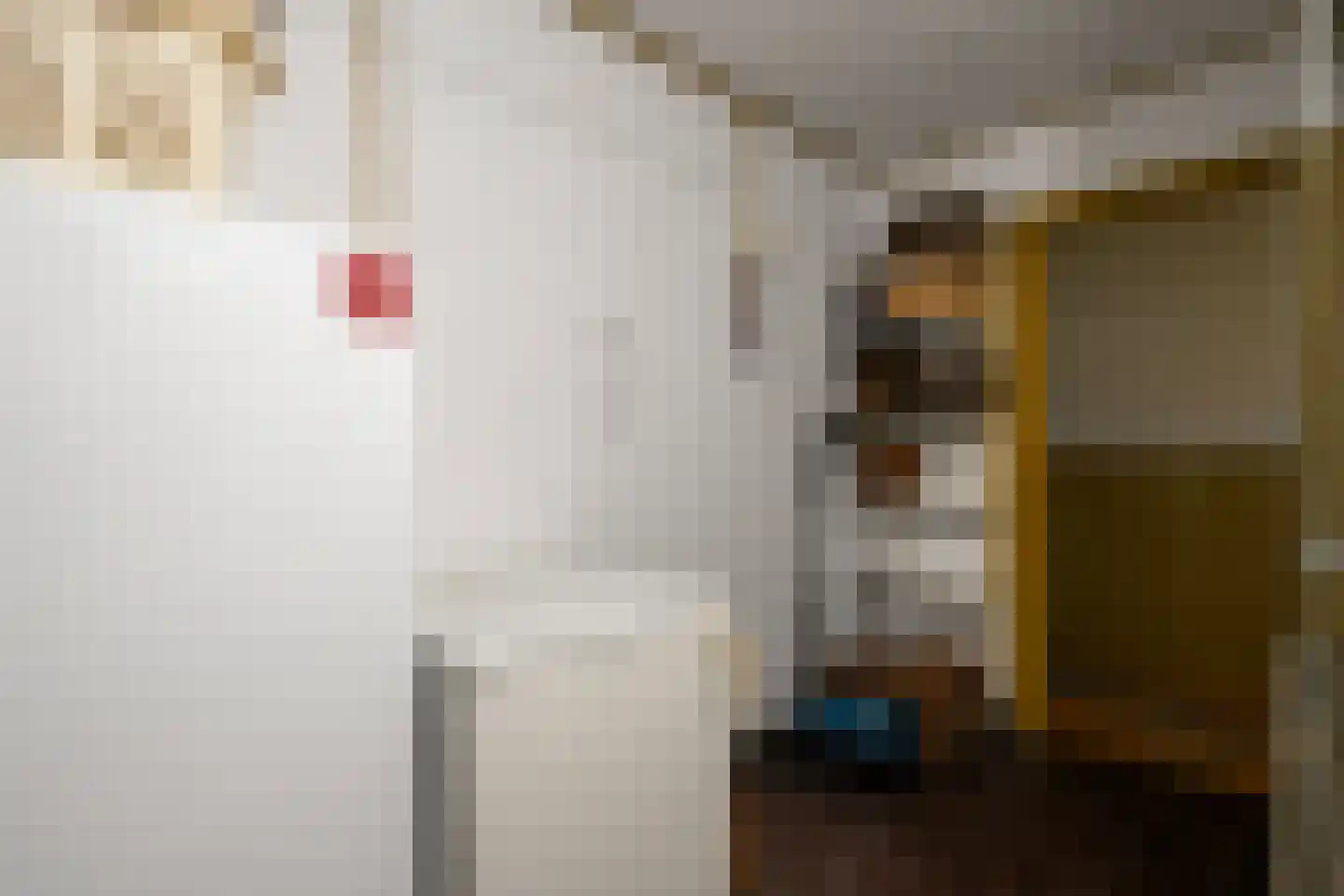 Eemster 23 Dwingeloo thumbnail 40