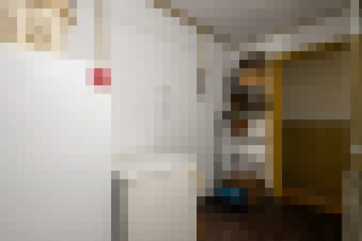 Eemster 23 Dwingeloo thumbnail 40