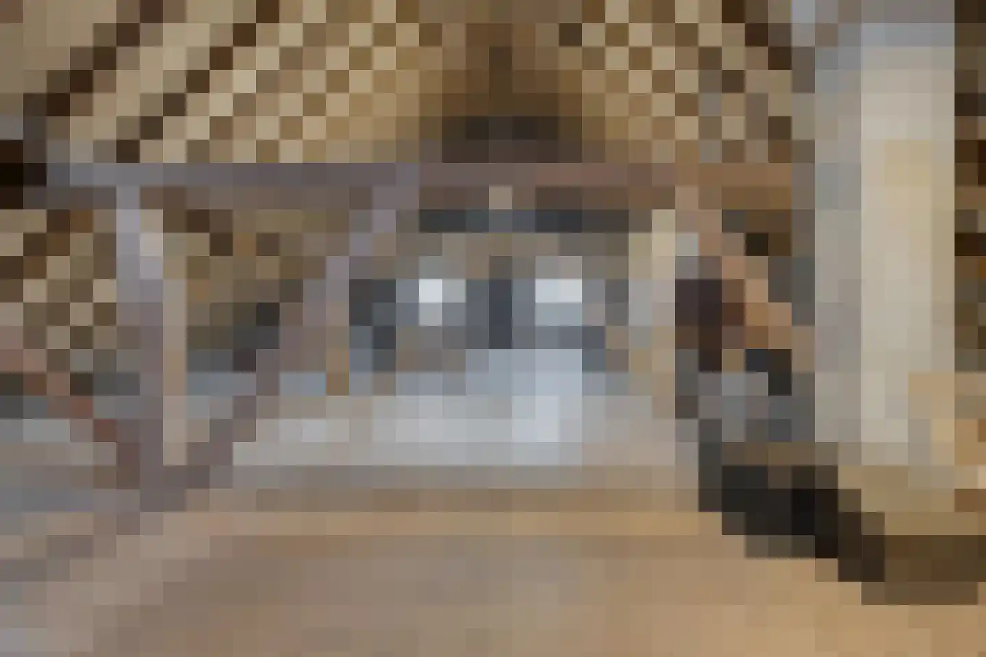 Eemster 23 Dwingeloo thumbnail 41