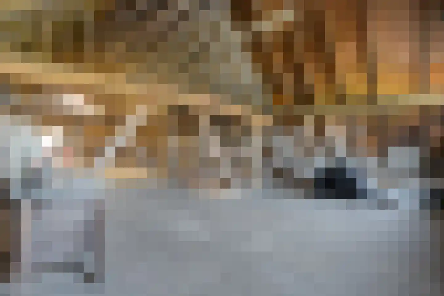 Eemster 23 Dwingeloo thumbnail 42