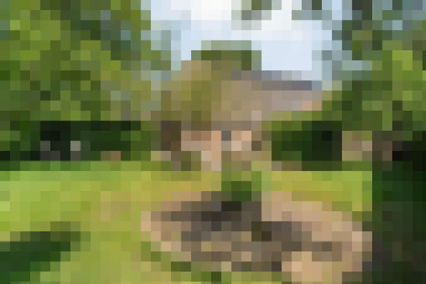 Eemster 23 Dwingeloo thumbnail 44