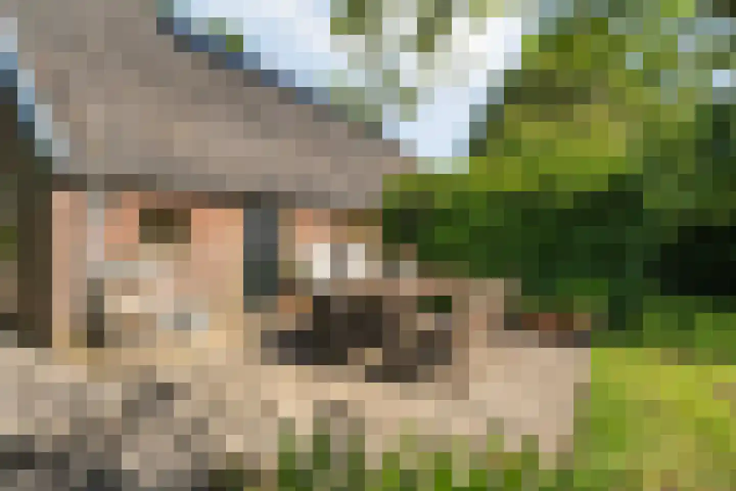 Eemster 23 Dwingeloo thumbnail 45