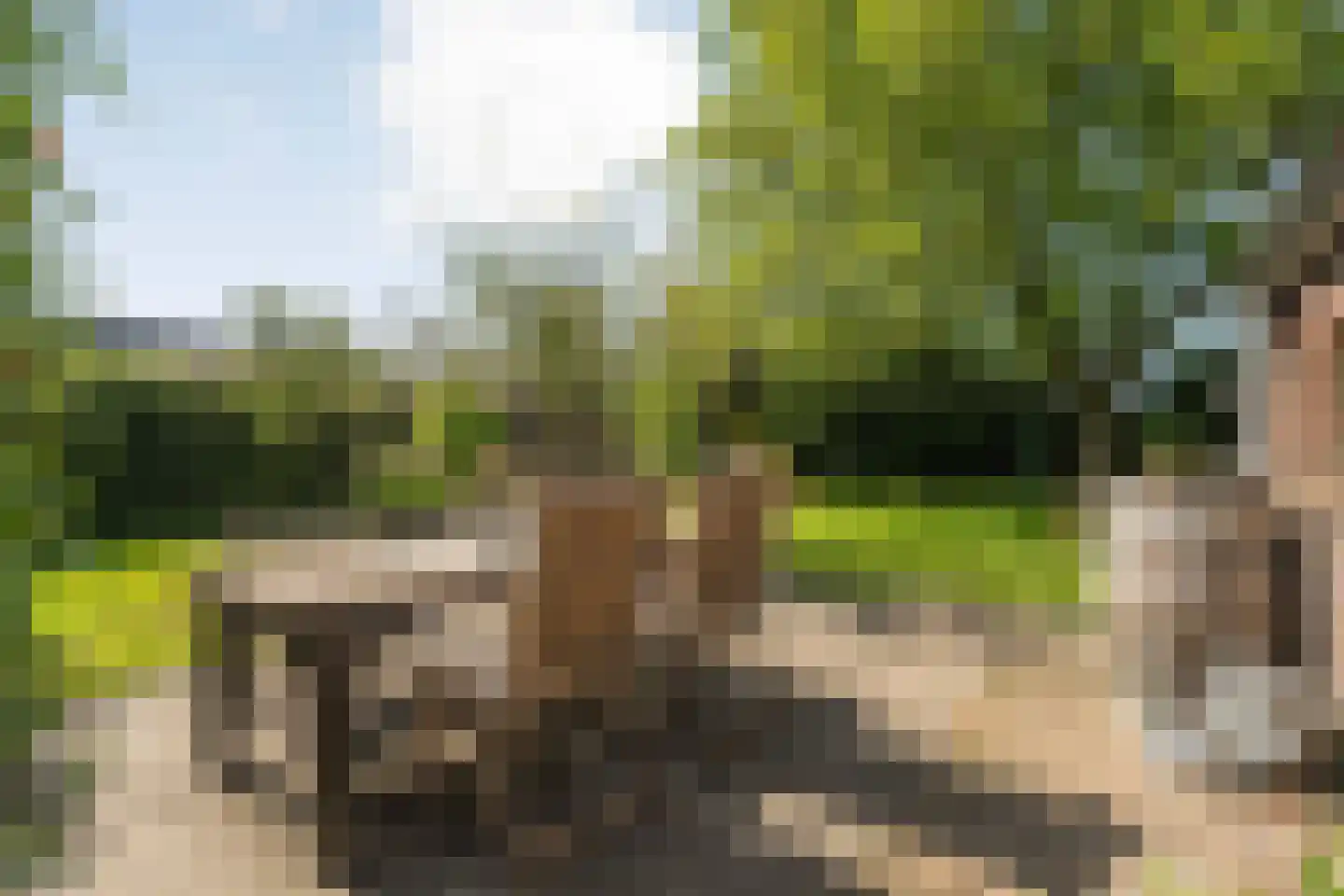 Eemster 23 Dwingeloo thumbnail 46