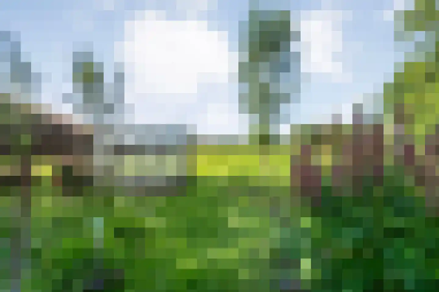 Eemster 23 Dwingeloo thumbnail 48