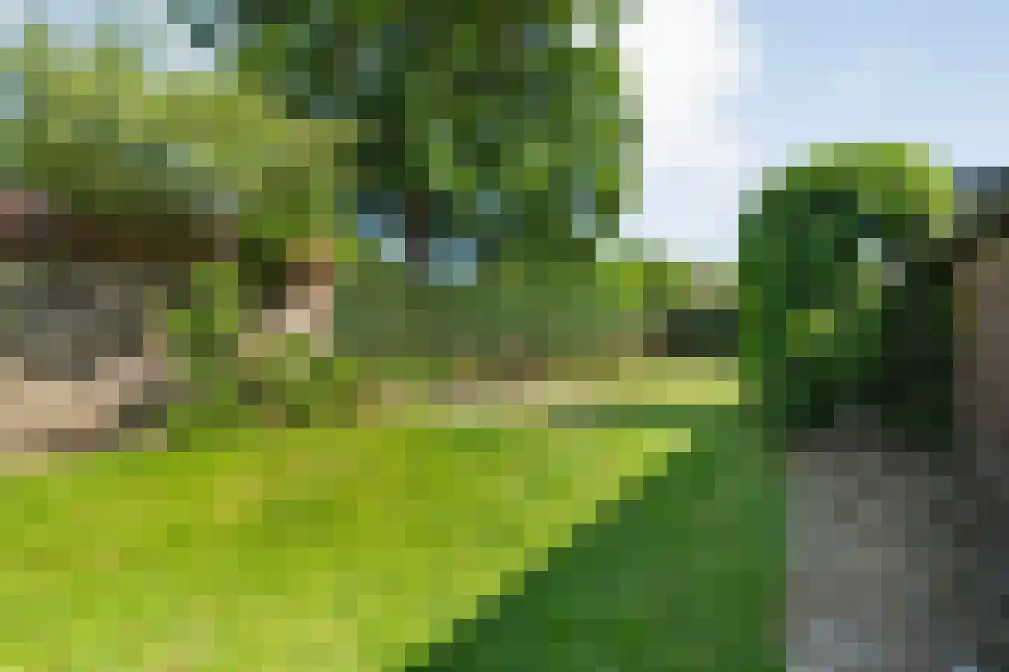 Eemster 23 Dwingeloo thumbnail 51