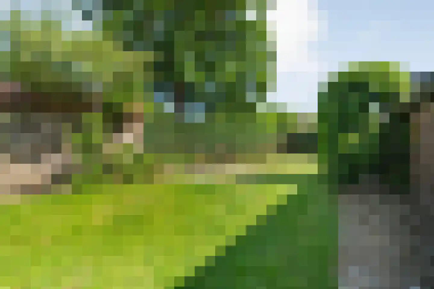 Eemster 23 Dwingeloo thumbnail 51