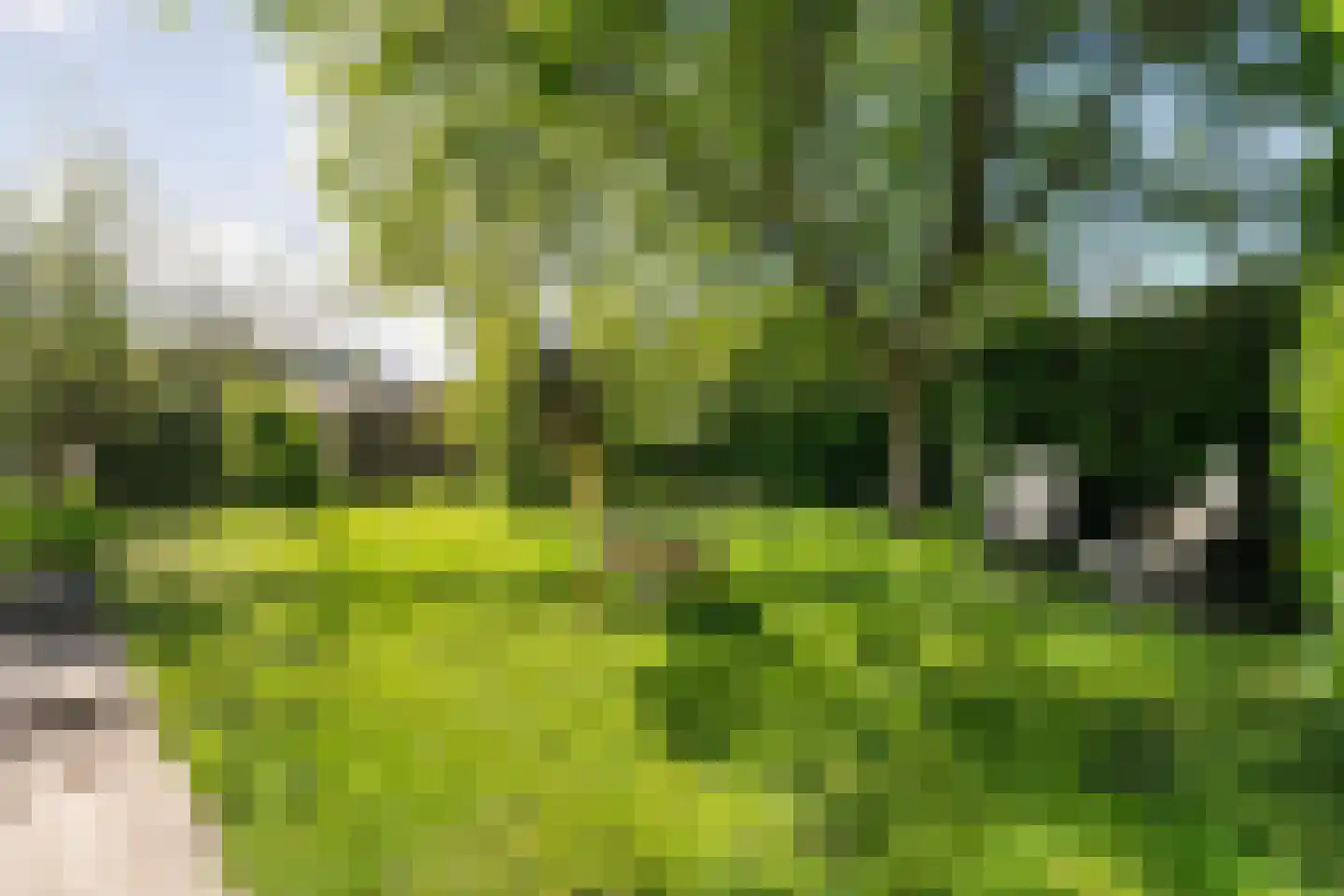 Eemster 23 Dwingeloo thumbnail 55