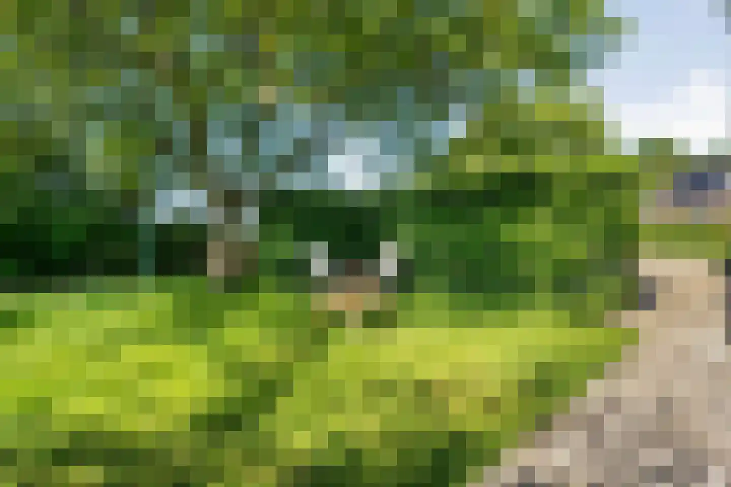Eemster 23 Dwingeloo thumbnail 56