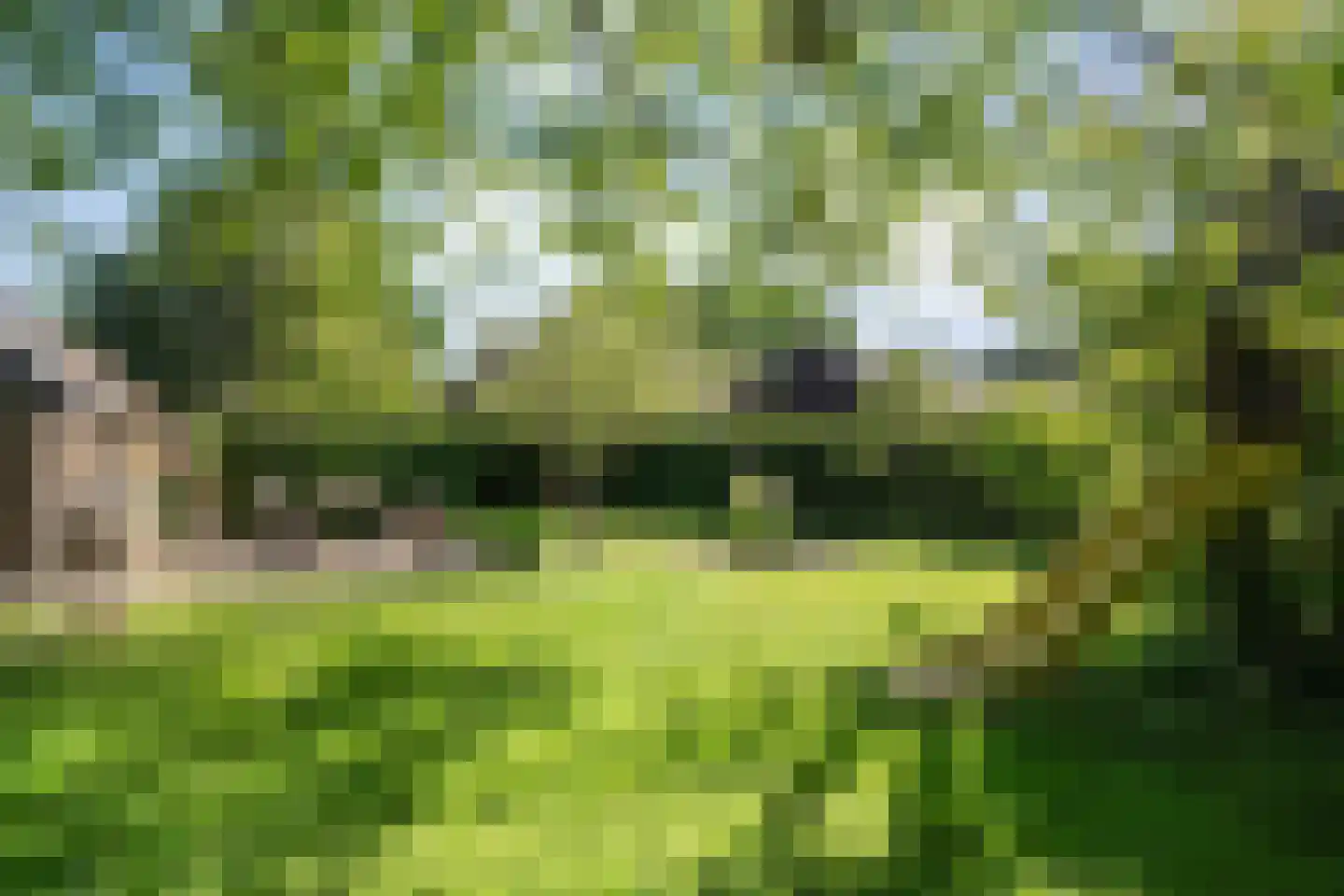 Eemster 23 Dwingeloo thumbnail 57