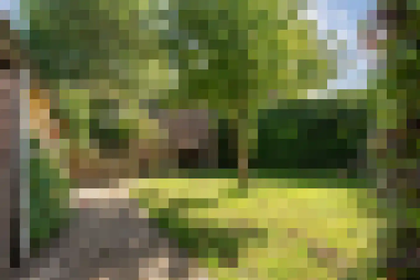 Eemster 23 Dwingeloo thumbnail 59