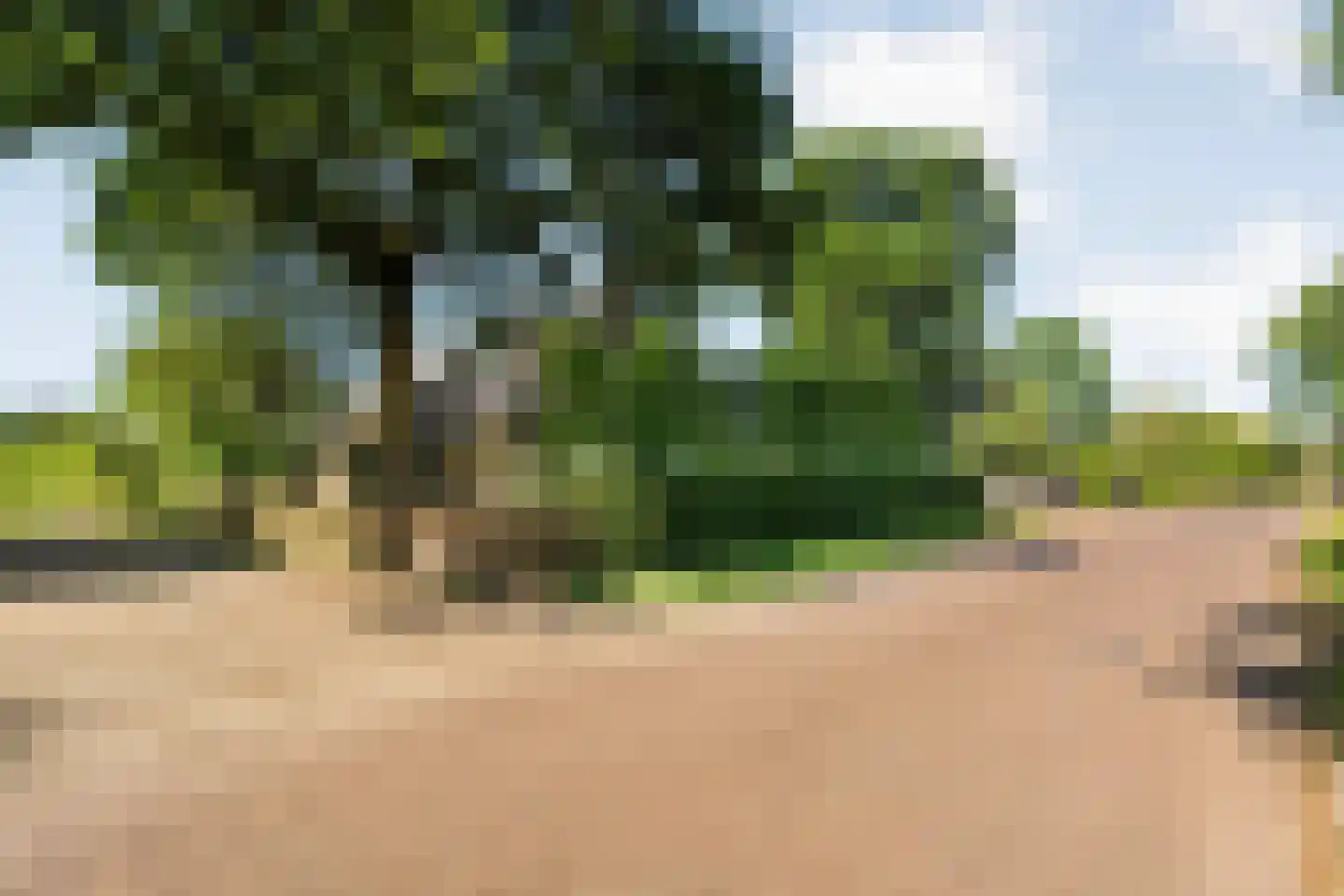 Eemster 23 Dwingeloo thumbnail 6