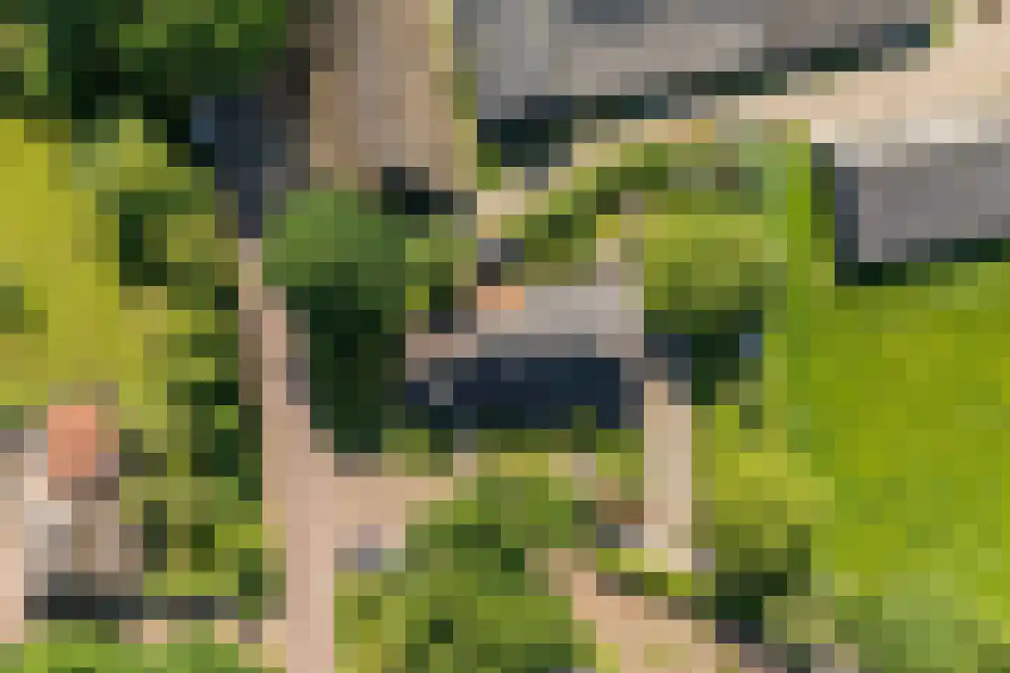 Eemster 23 Dwingeloo thumbnail 60