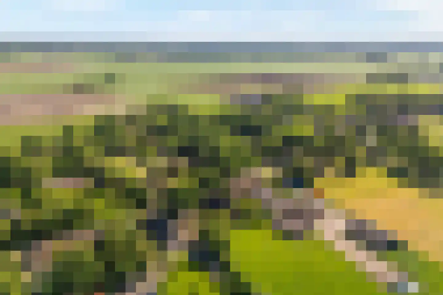 Eemster 23 Dwingeloo thumbnail 61