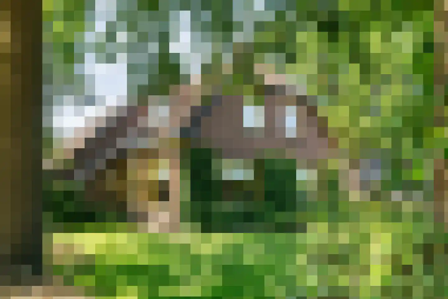 Eemster 23 Dwingeloo thumbnail 9