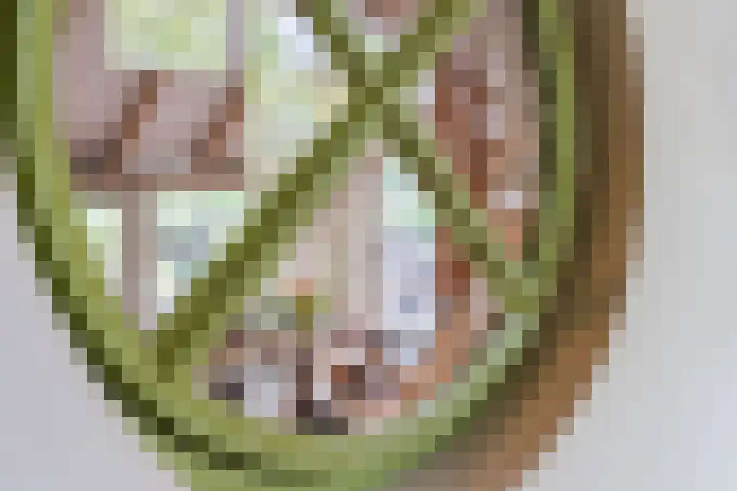 Eemster 55 Dwingeloo thumbnail 12