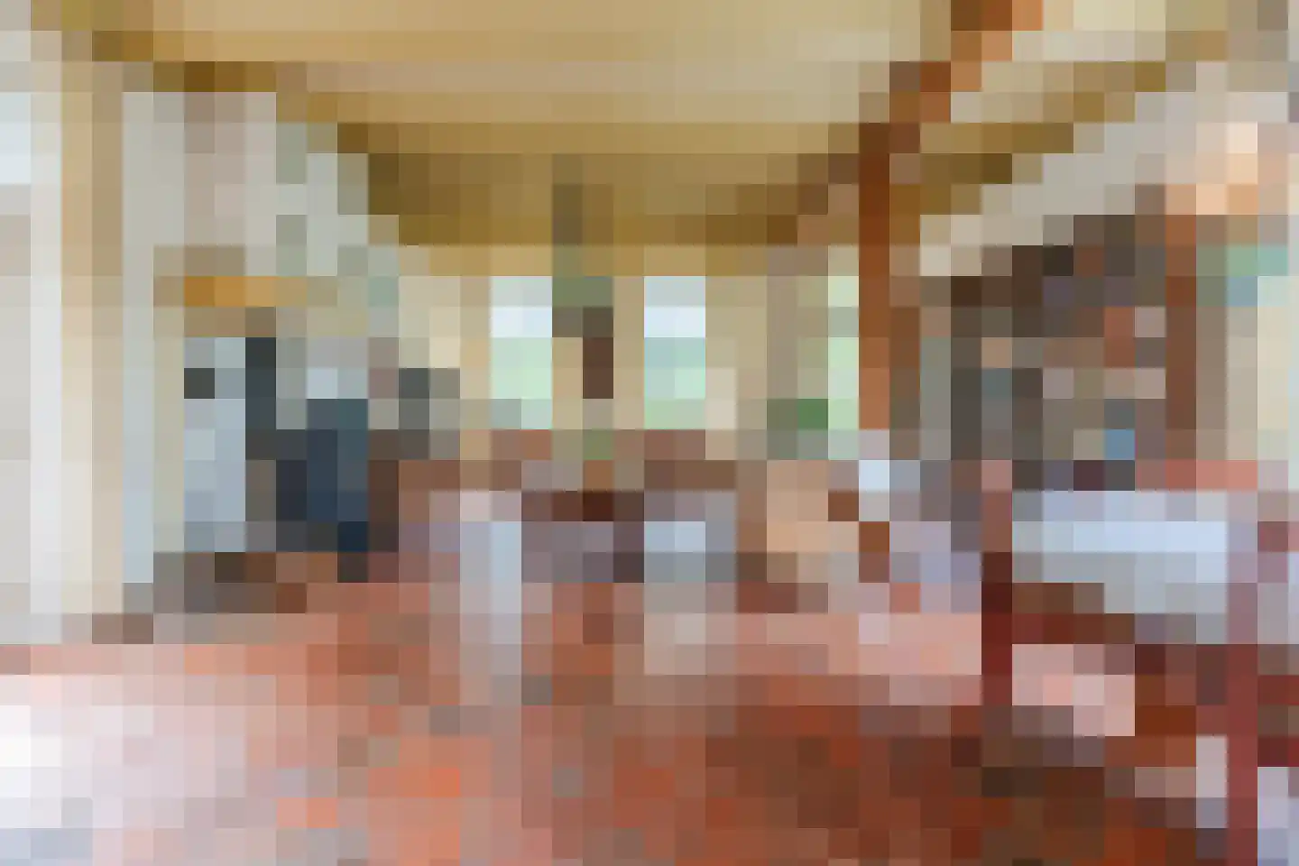 Eemster 55 Dwingeloo thumbnail 13