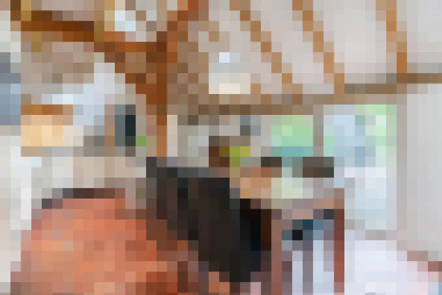 Eemster 55 Dwingeloo thumbnail 19