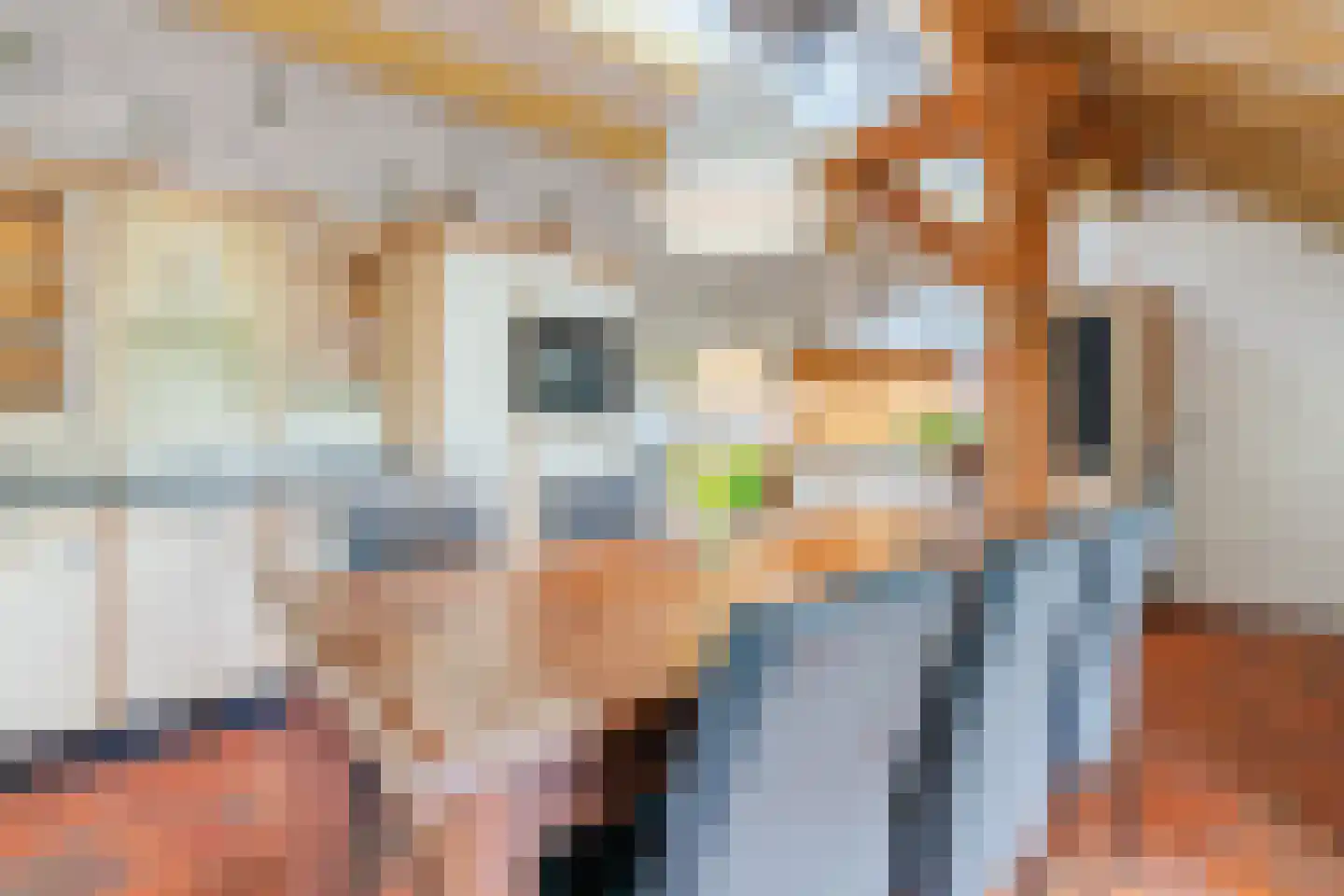 Eemster 55 Dwingeloo thumbnail 20