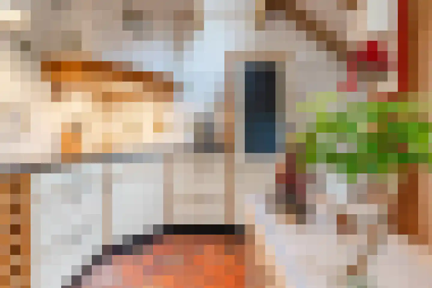 Eemster 55 Dwingeloo thumbnail 22