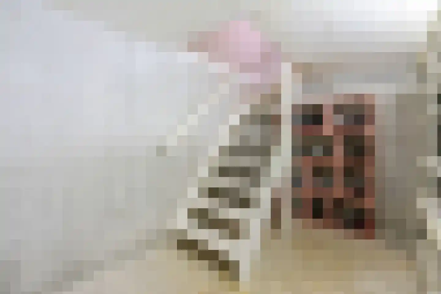 Eemster 55 Dwingeloo thumbnail 26