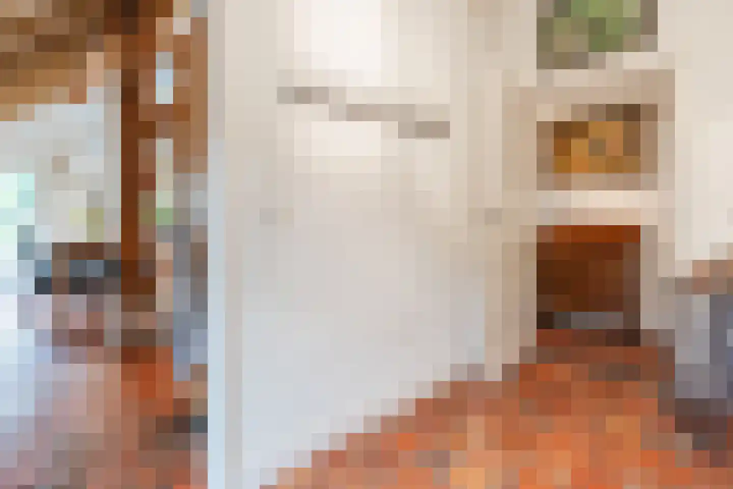Eemster 55 Dwingeloo thumbnail 28