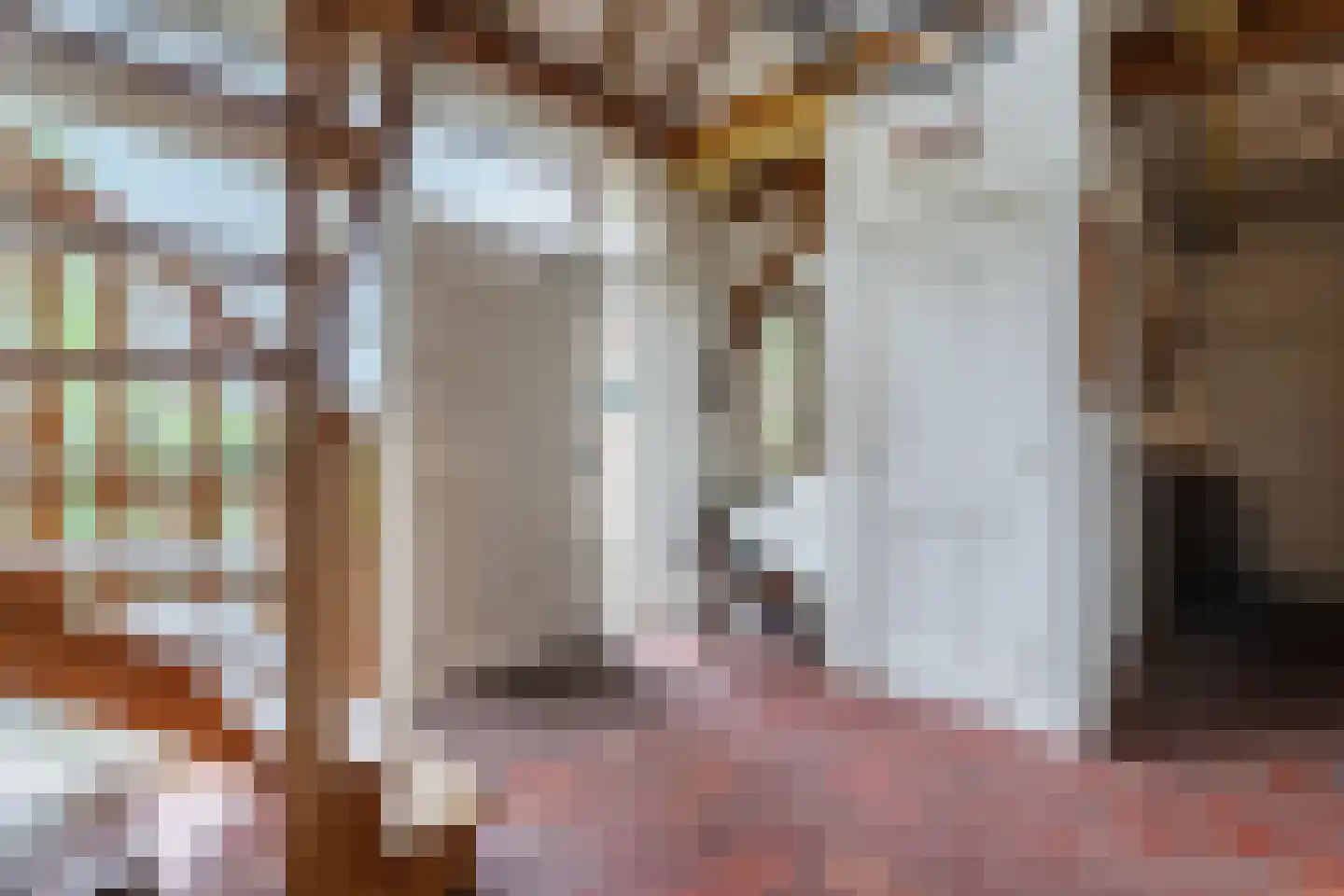 Eemster 55 Dwingeloo thumbnail 29