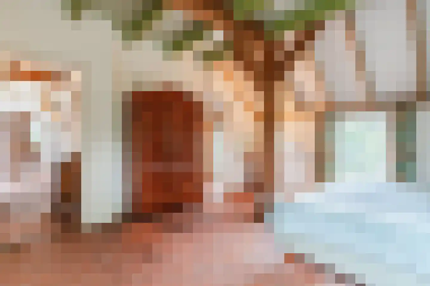 Eemster 55 Dwingeloo thumbnail 31