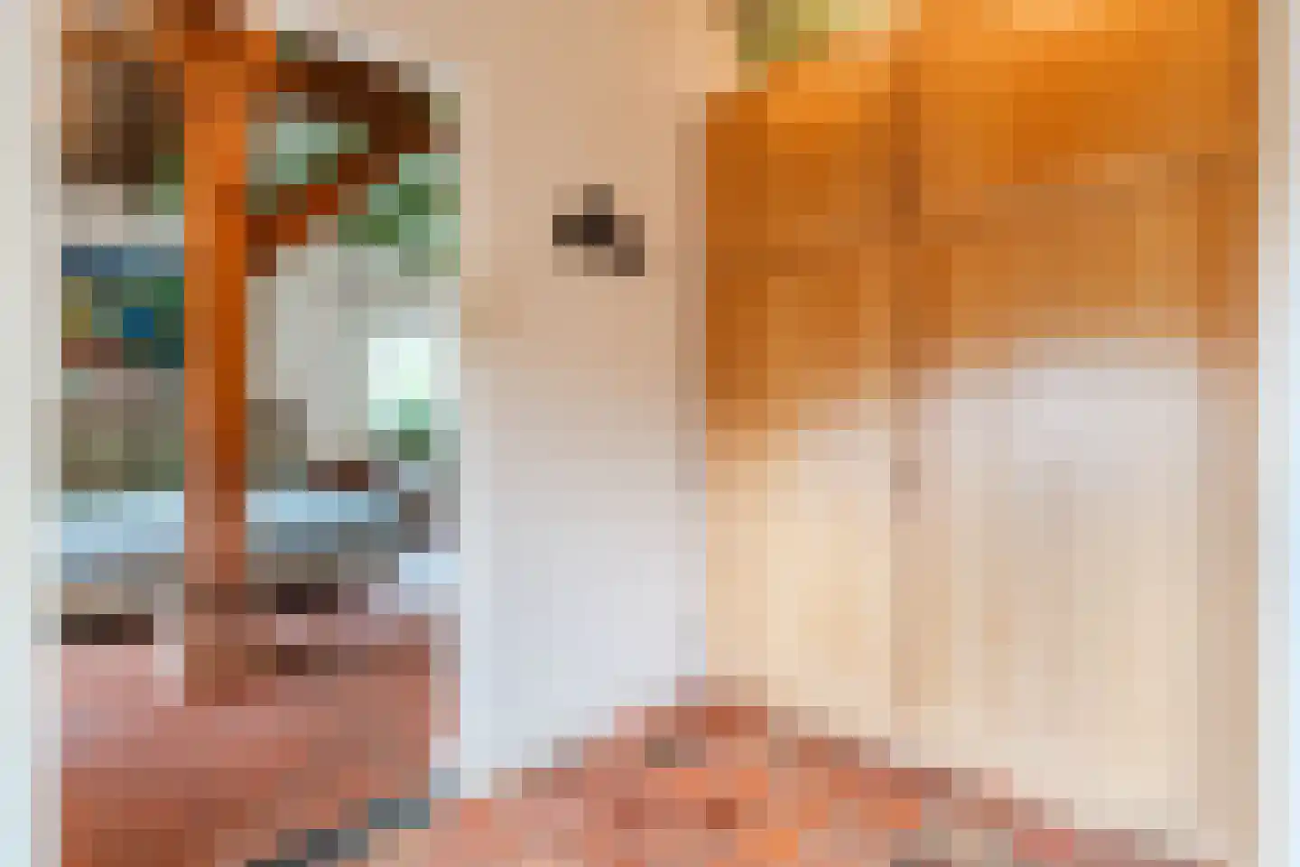 Eemster 55 Dwingeloo thumbnail 32