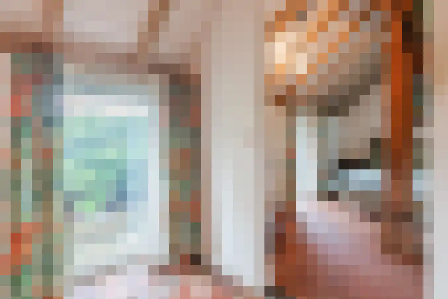 Eemster 55 Dwingeloo thumbnail 34