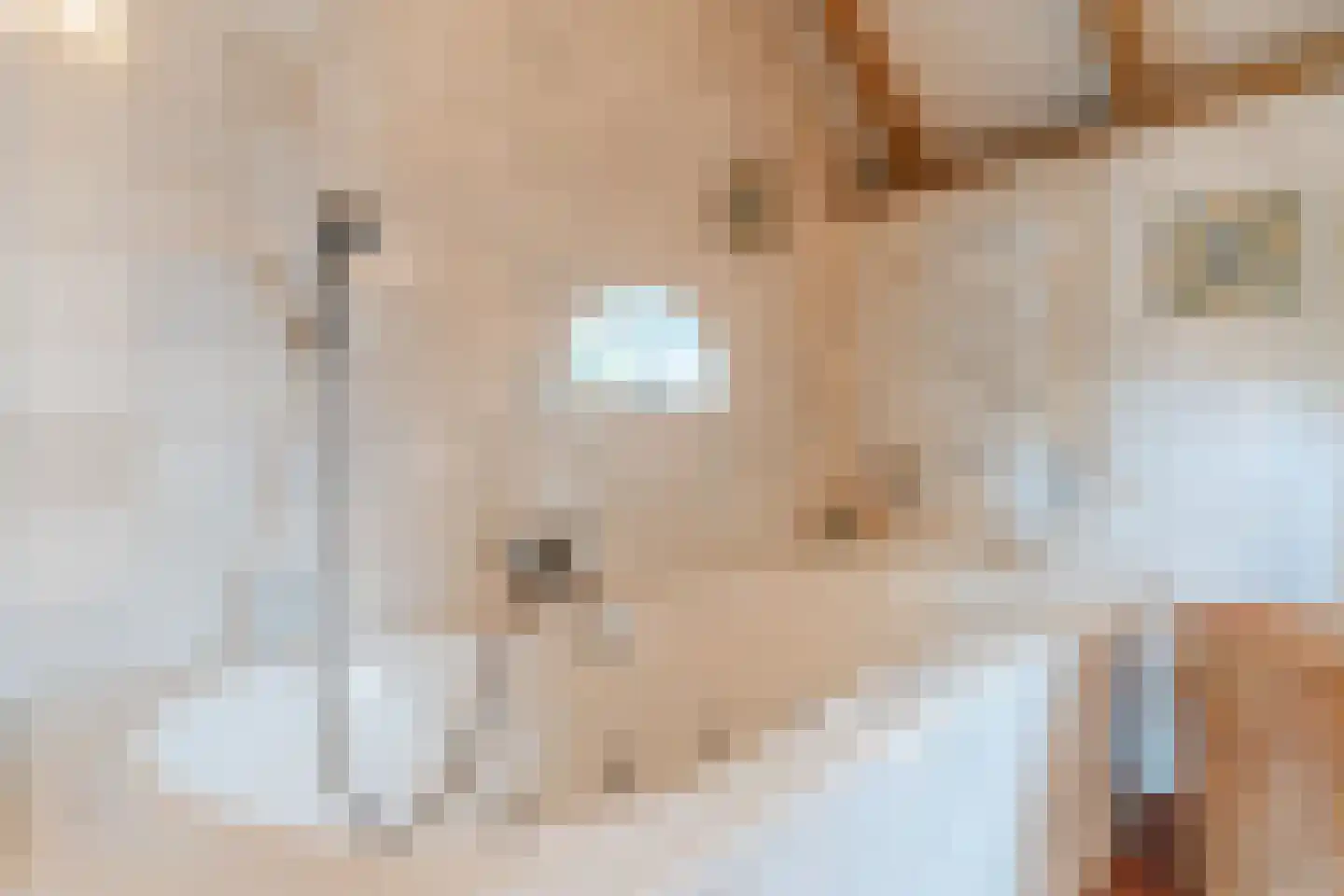 Eemster 55 Dwingeloo thumbnail 37