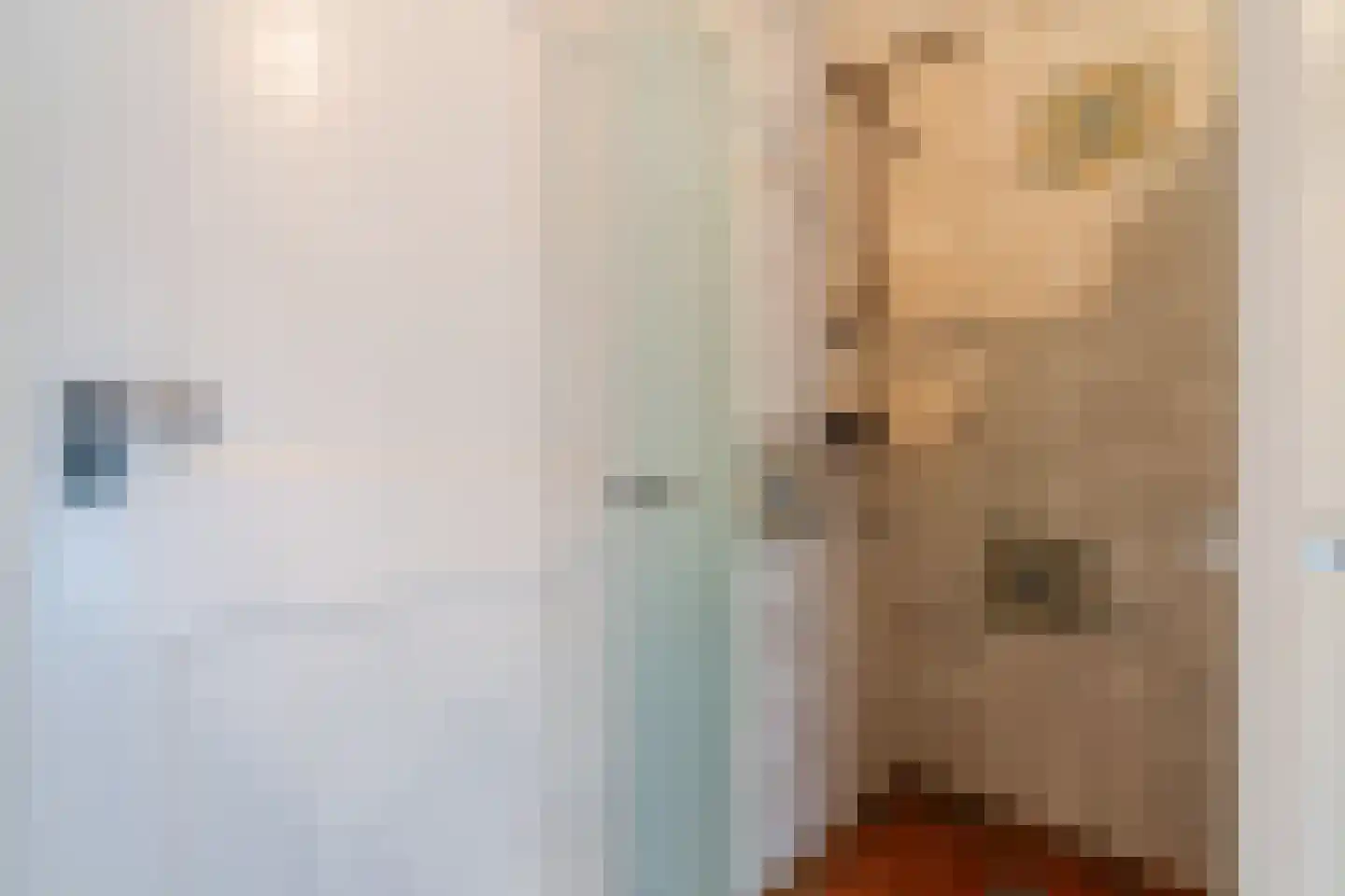 Eemster 55 Dwingeloo thumbnail 39