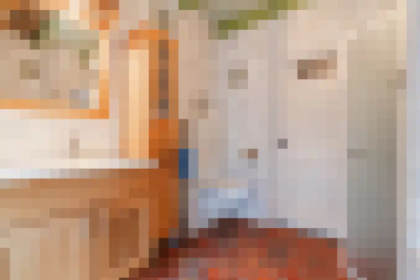 Eemster 55 Dwingeloo thumbnail 40