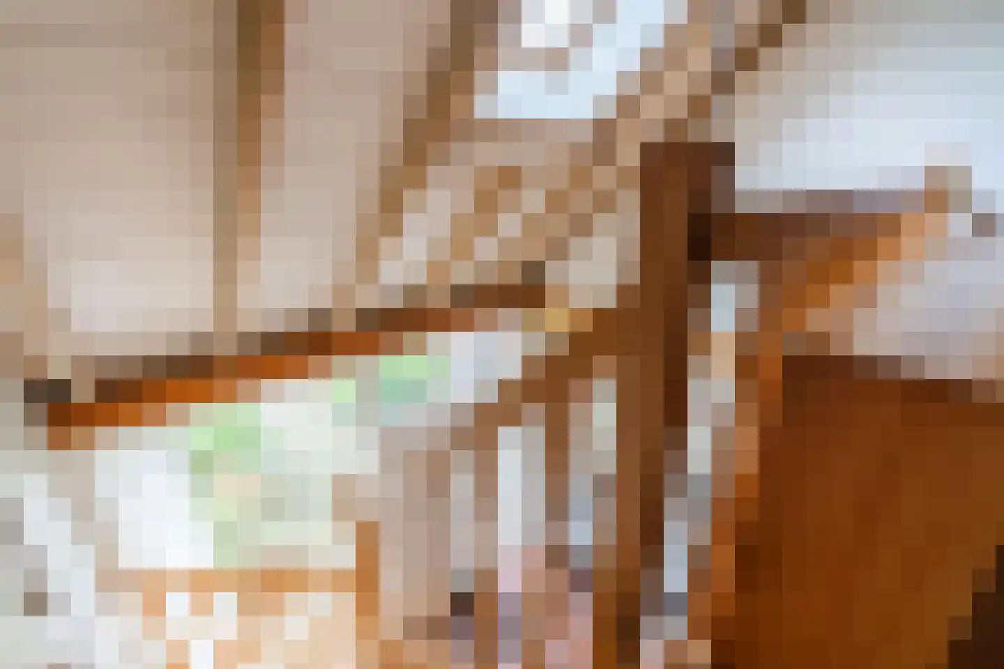 Eemster 55 Dwingeloo thumbnail 41
