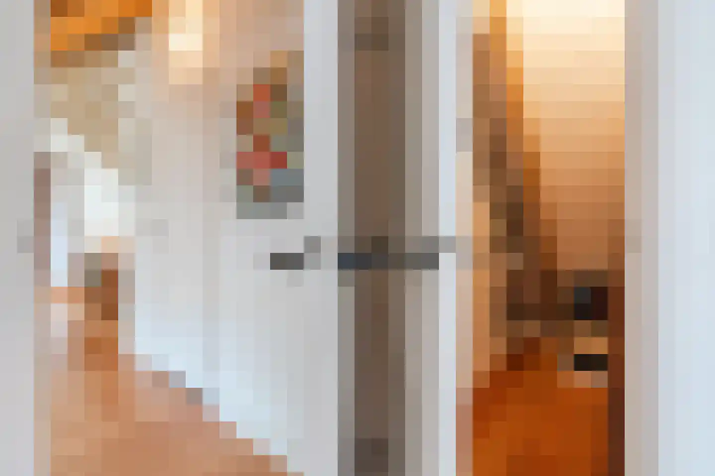 Eemster 55 Dwingeloo thumbnail 47