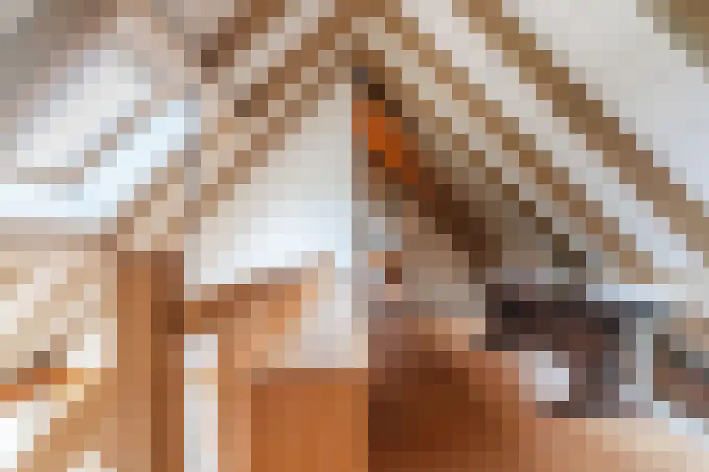 Eemster 55 Dwingeloo thumbnail 48