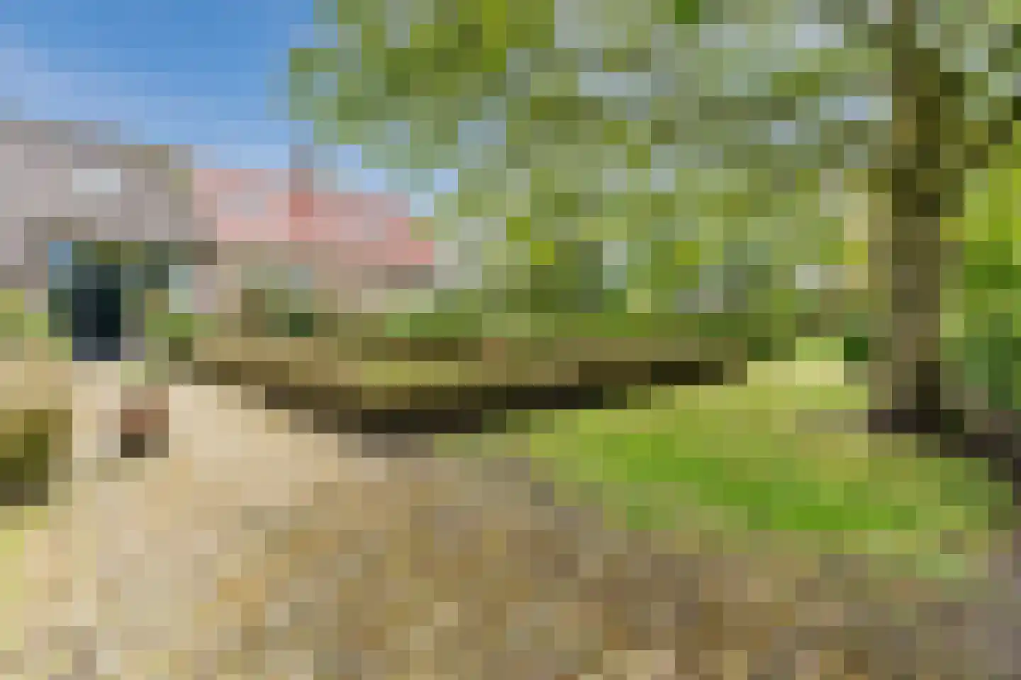 Eemster 55 Dwingeloo thumbnail 5