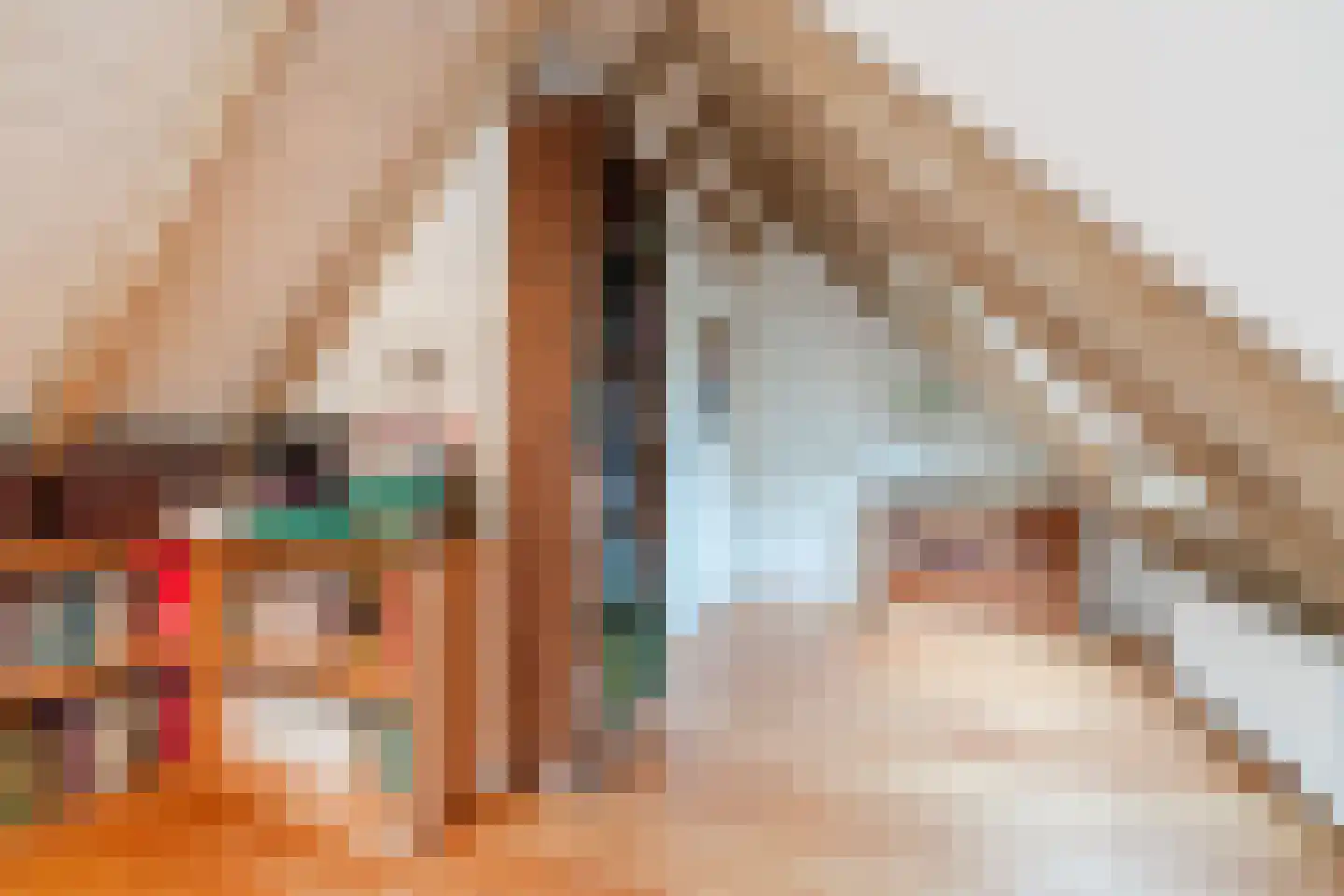 Eemster 55 Dwingeloo thumbnail 50