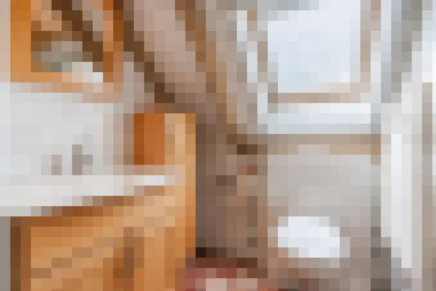 Eemster 55 Dwingeloo thumbnail 51