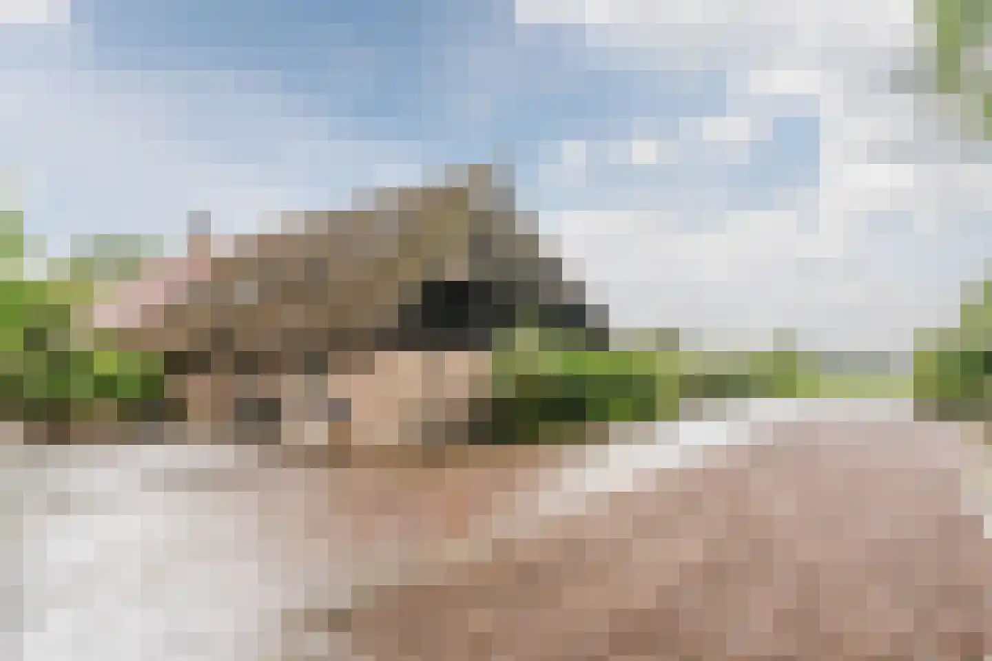 Eemster 55 Dwingeloo thumbnail 55