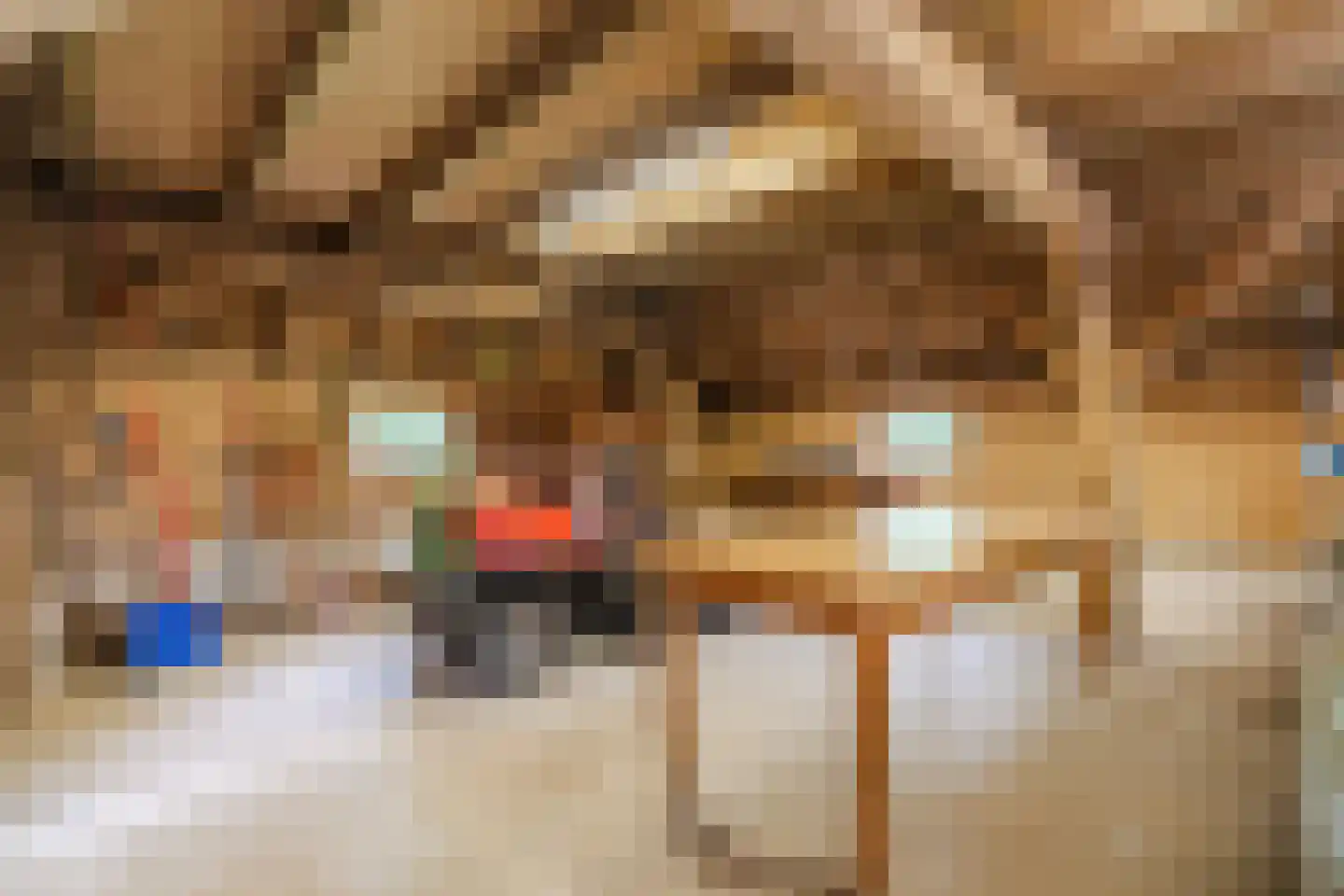 Eemster 55 Dwingeloo thumbnail 58