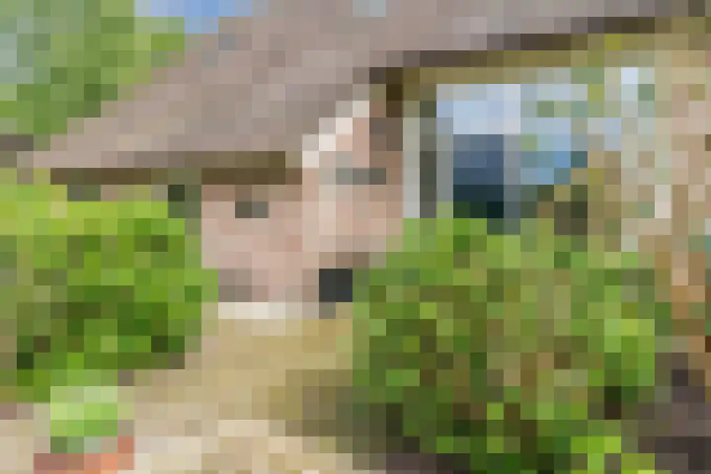 Eemster 55 Dwingeloo thumbnail 6