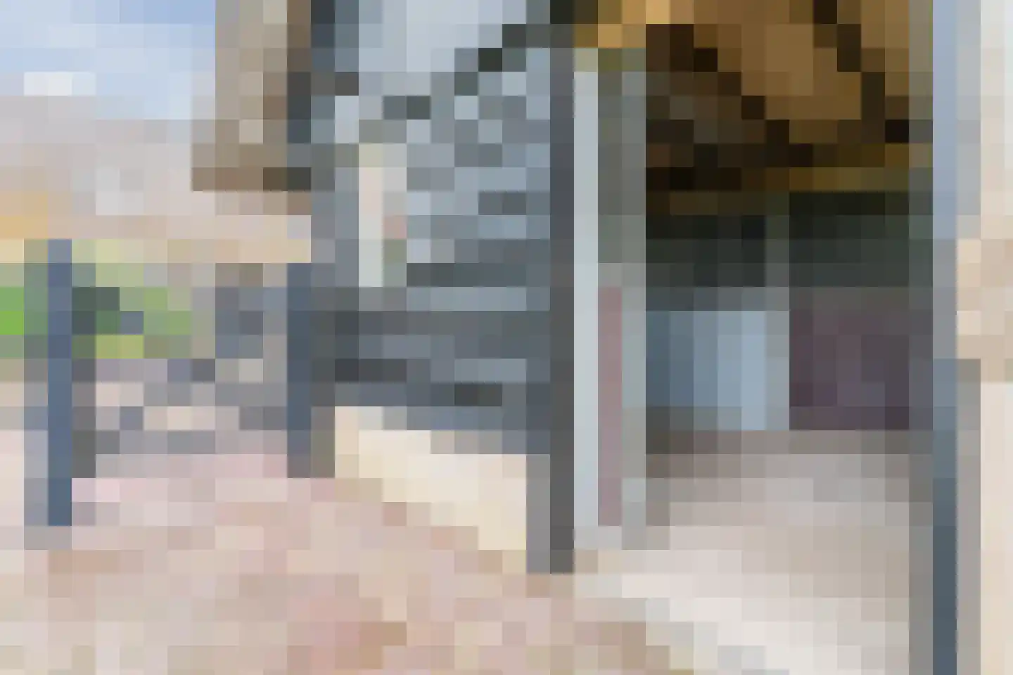 Eemster 55 Dwingeloo thumbnail 60