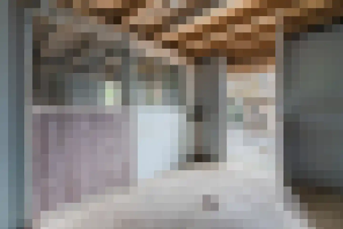 Eemster 55 Dwingeloo thumbnail 61
