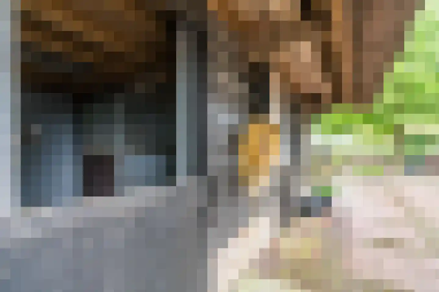 Eemster 55 Dwingeloo thumbnail 62