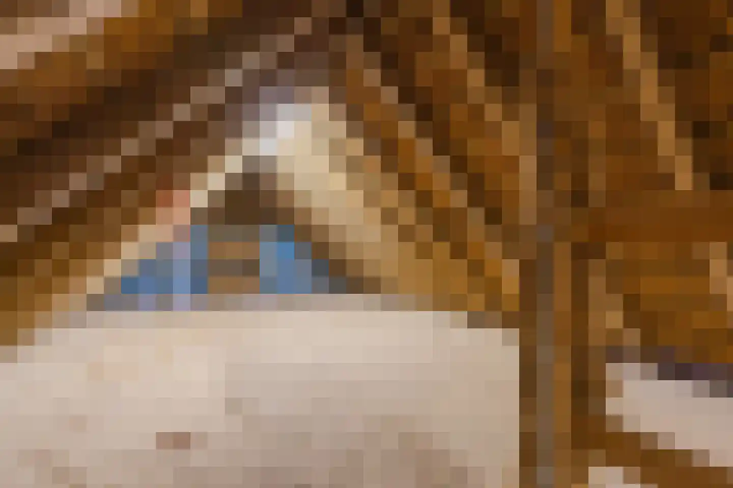 Eemster 55 Dwingeloo thumbnail 63