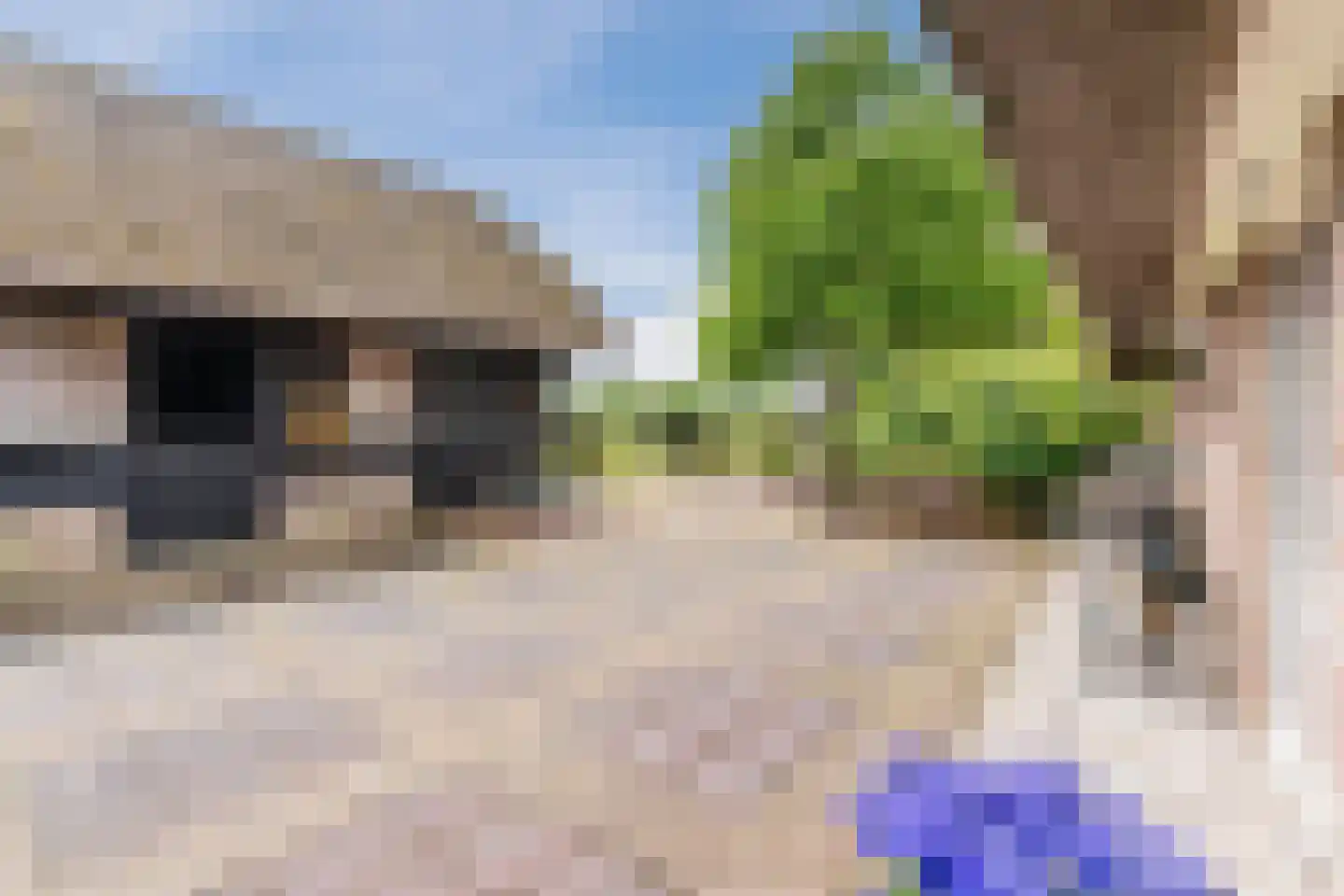 Eemster 55 Dwingeloo thumbnail 64