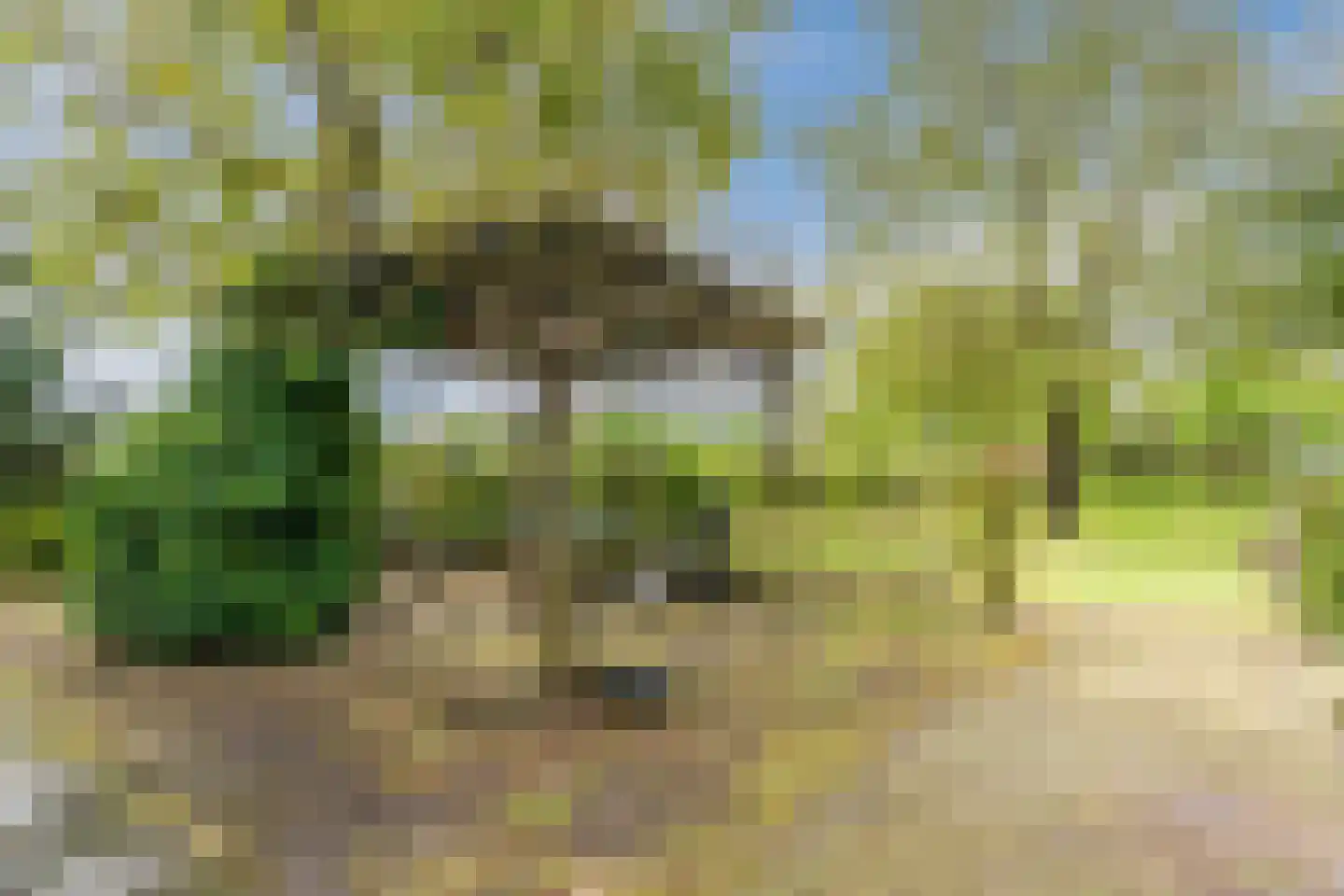 Eemster 55 Dwingeloo thumbnail 65