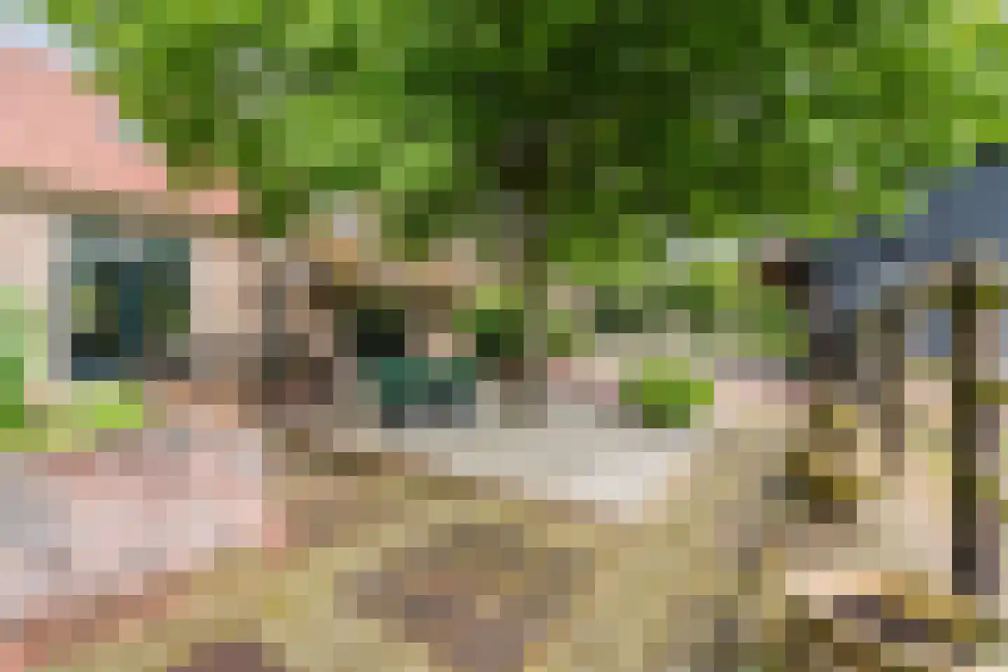 Eemster 55 Dwingeloo thumbnail 66