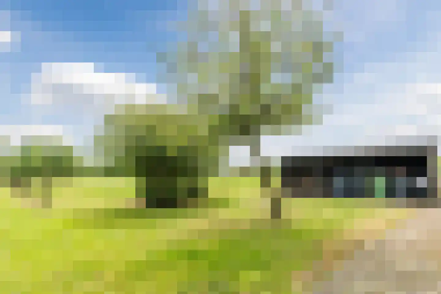 Eemster 55 Dwingeloo thumbnail 69
