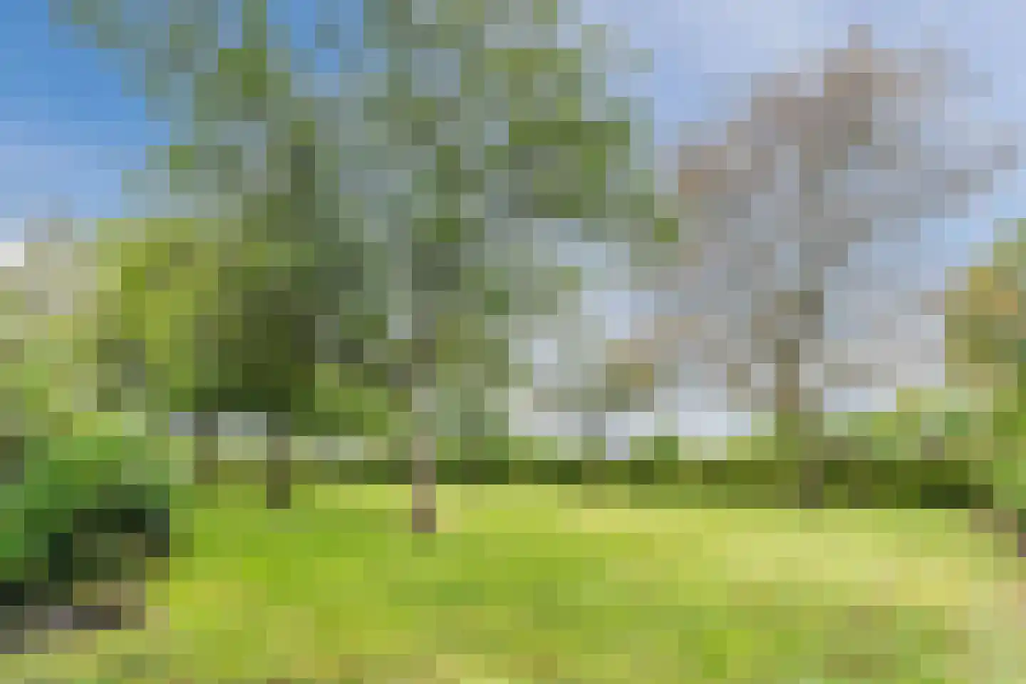 Eemster 55 Dwingeloo thumbnail 70